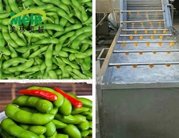 蔬菜清洗機(jī)