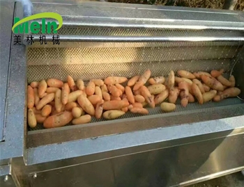 毛輥清洗去皮機(jī)